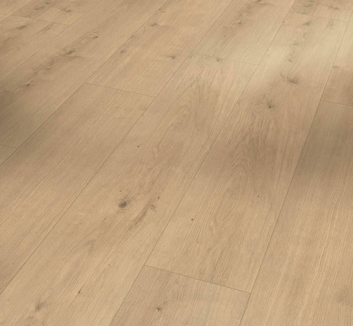 Oak Terrena
