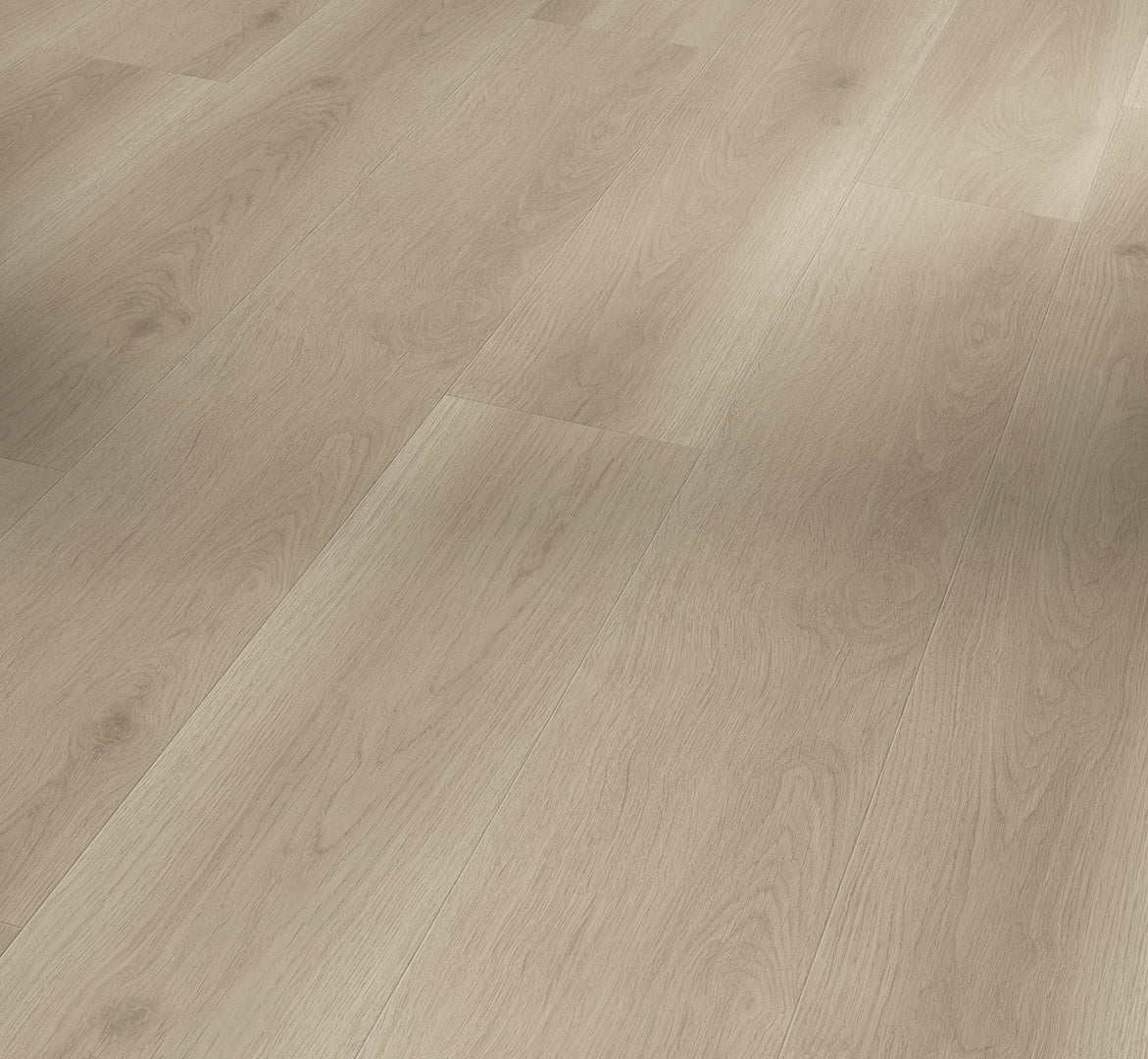 Oak Charisma