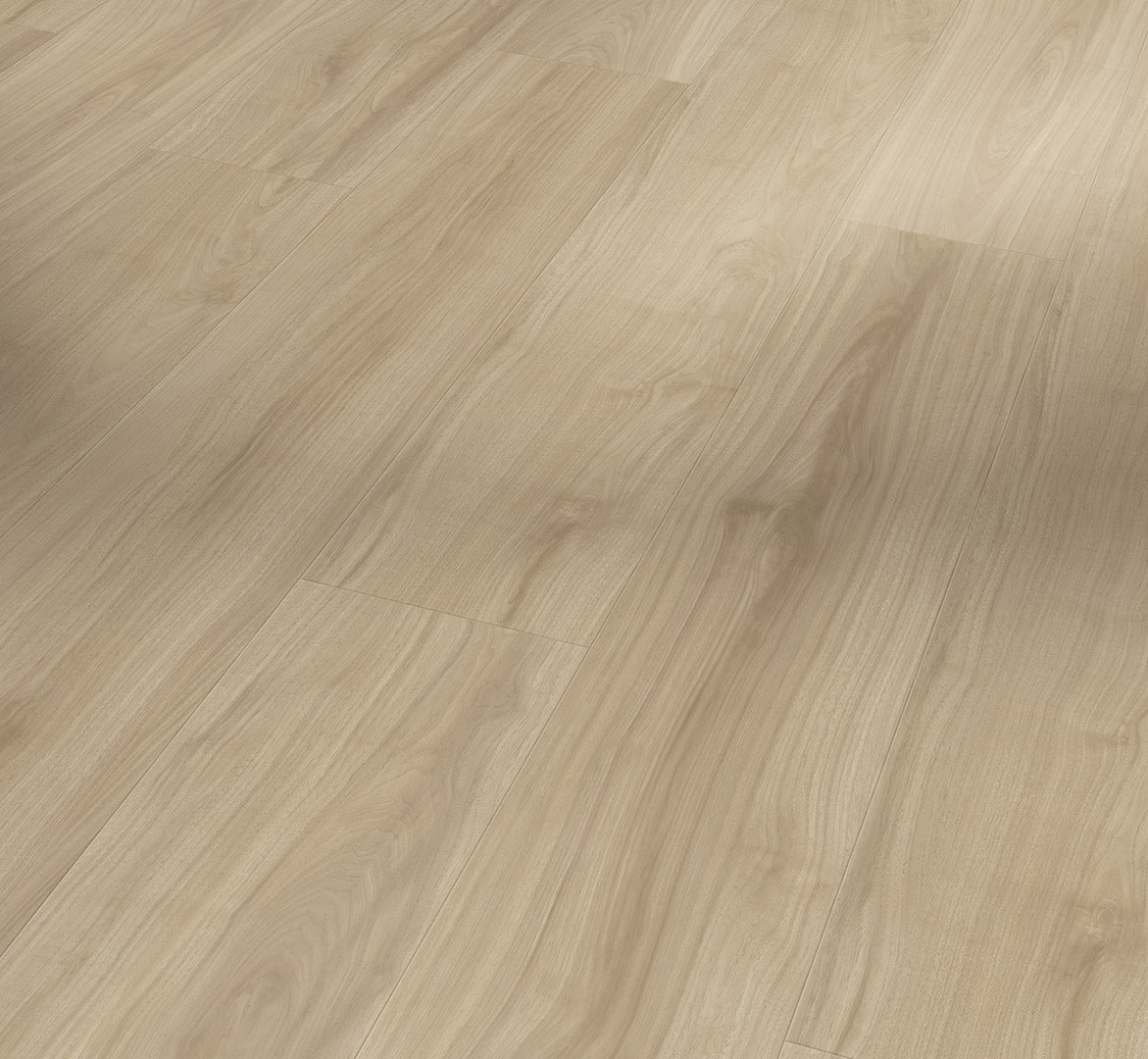 Walnut Evena